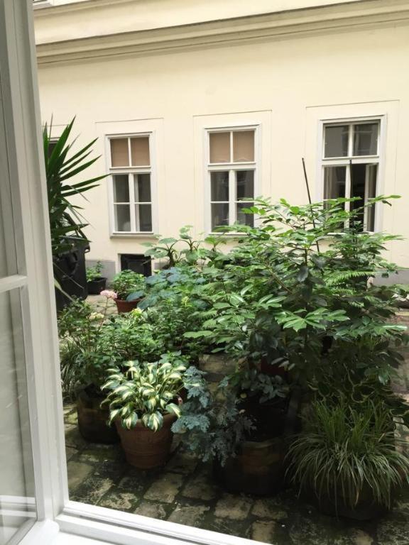 City Apartment Wien Exterior foto